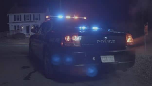 2006 Dodge Charger in Elf-Man