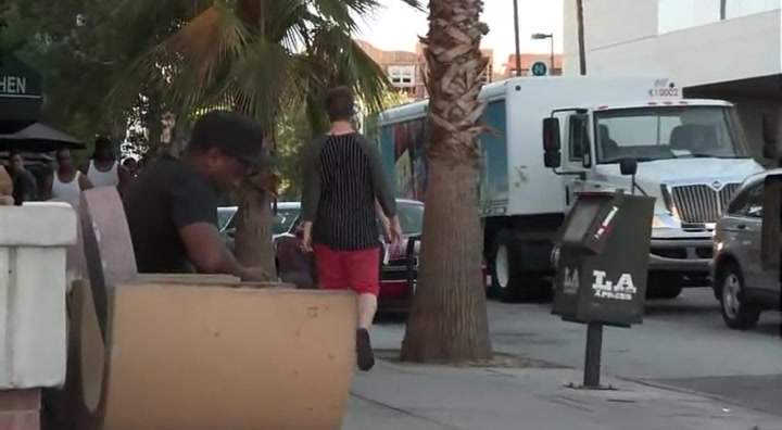 International DuraStar