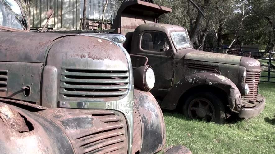 Dodge W-Series