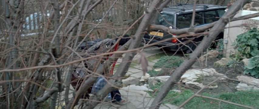 Volvo 240