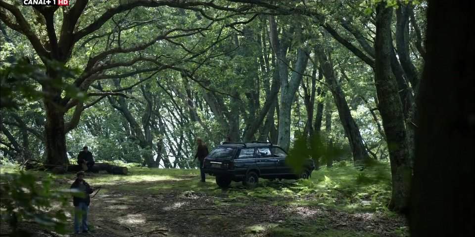 Peugeot 505 Dangel