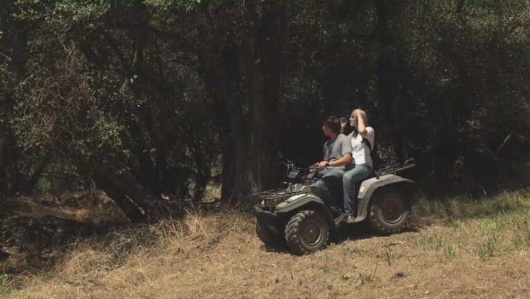 Suzuki KingQuad