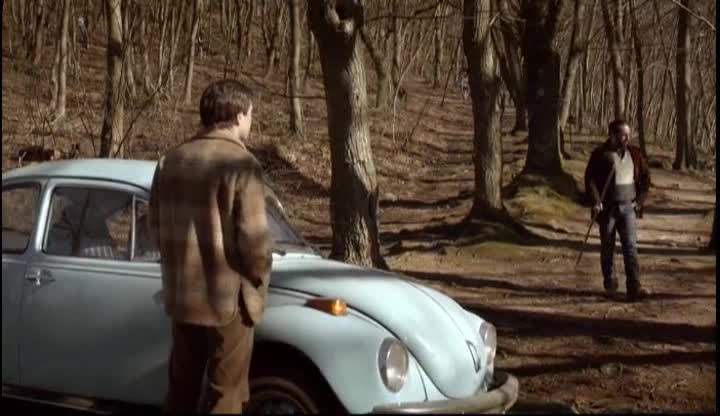 Volkswagen 1303