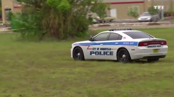 Dodge Charger Pursuit