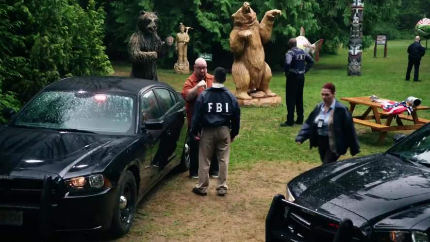 Dodge Charger Pursuit