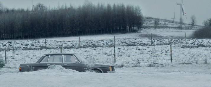 Volvo 244