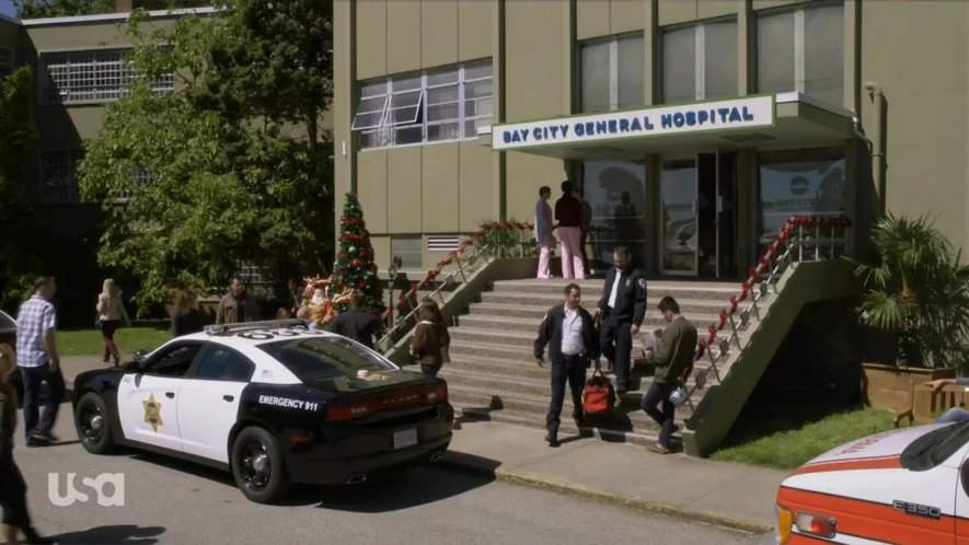 Dodge Charger Pursuit