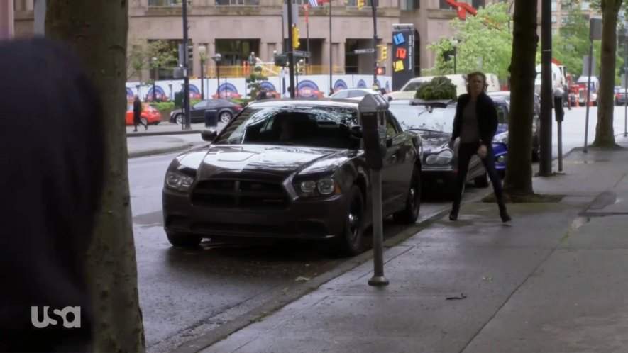 Dodge Charger Pursuit