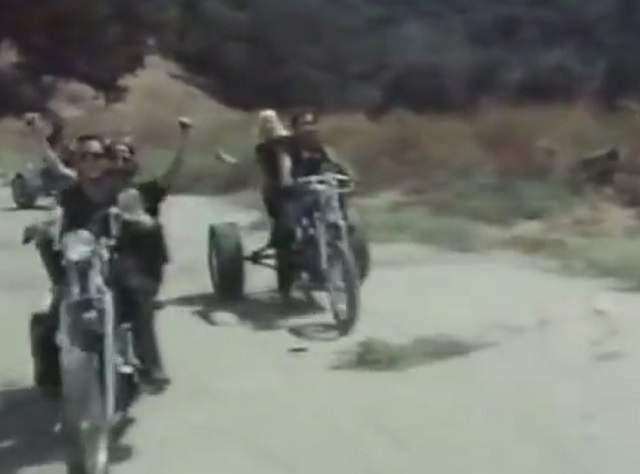 Harley-Davidson Custom Chopper