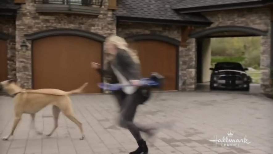 Ford Shelby GT 500 SVT