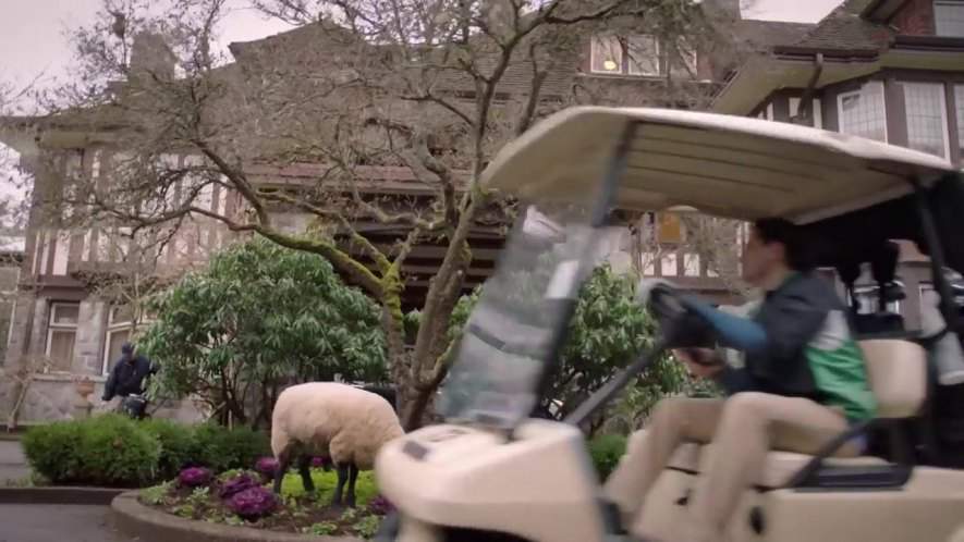 Club Car DS