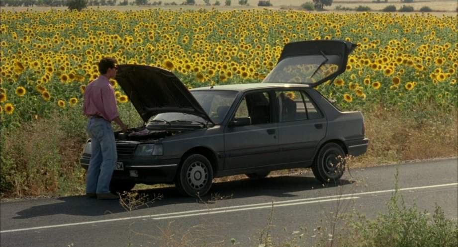 Peugeot 309