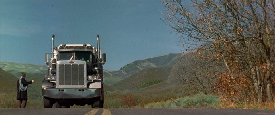 Peterbilt 359