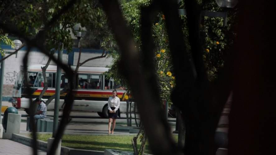 Mitsubishi Fuso Rosa