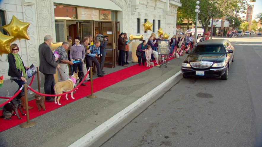 Lincoln Town Car Stretched Limousine