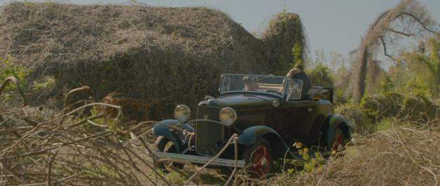 Ford V8 Roadster
