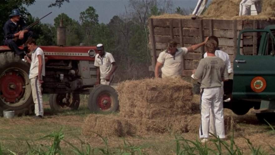 Massey Ferguson 1100