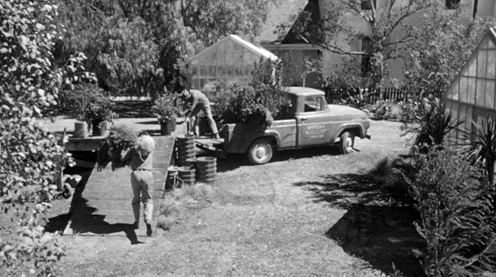 Ford F-100
