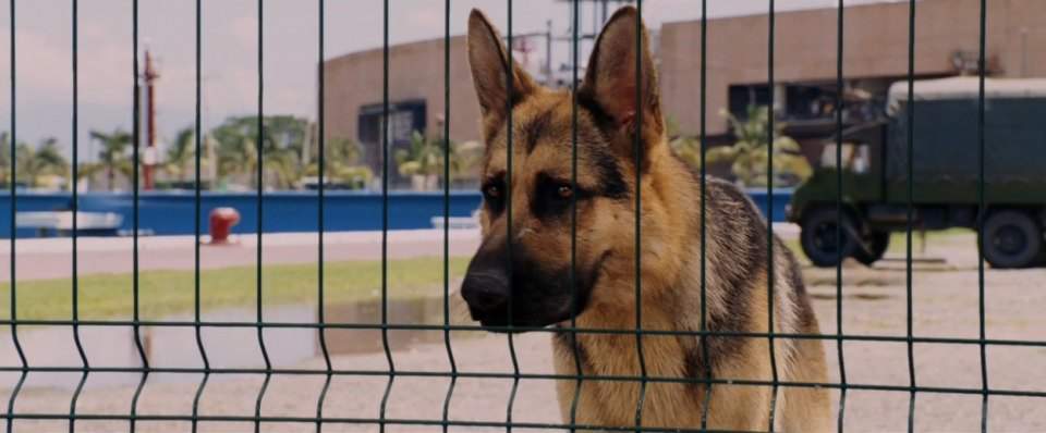 Mercedes-Benz Unimog-S 404