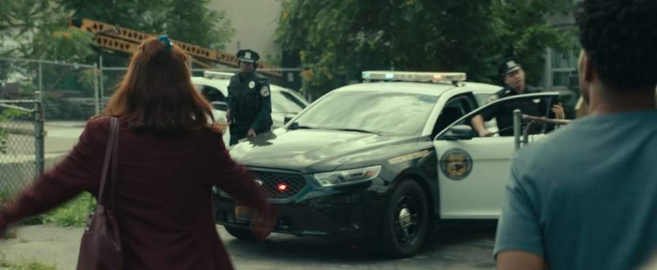 Ford Police Interceptor