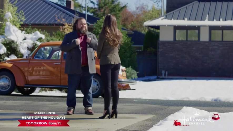 Volkswagen Super Beetle