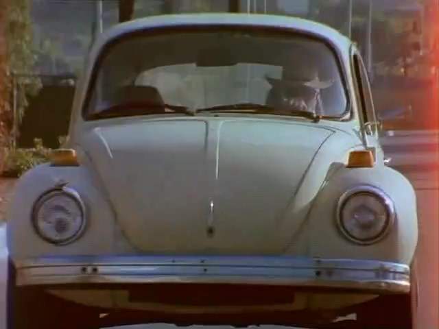 Volkswagen Super Beetle