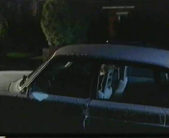 Volvo 244
