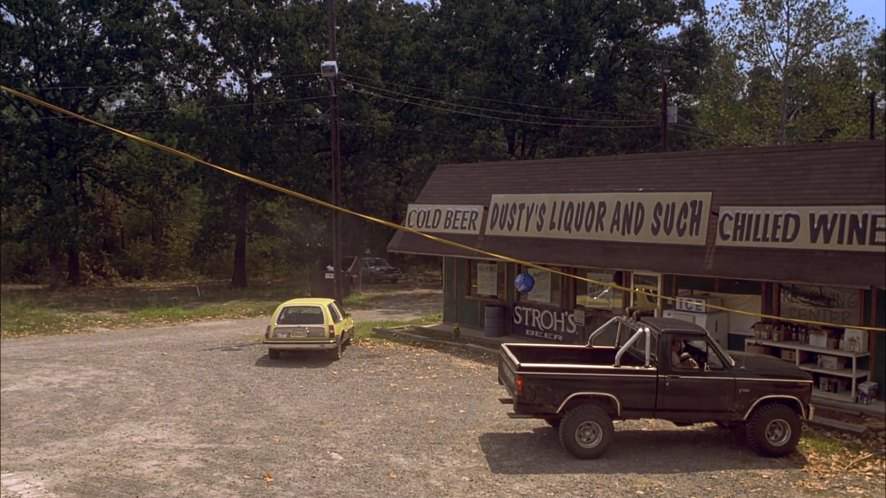 AMC Pacer Wagon