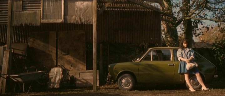 Fiat 133