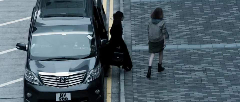 2008 Toyota Alphard in The Fallen Leaf