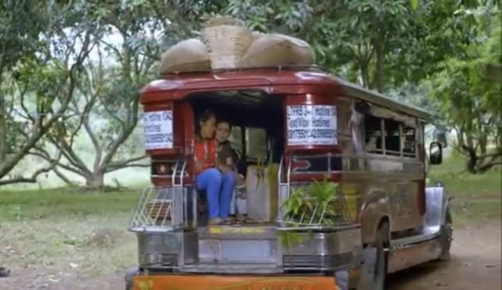 Custom Made 'Jeepney'