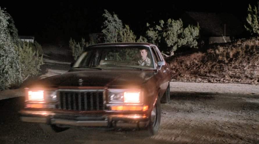 1984 Dodge Diplomat in Guncrazy