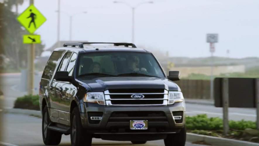 2015 Ford Expedition EL in Mistrust