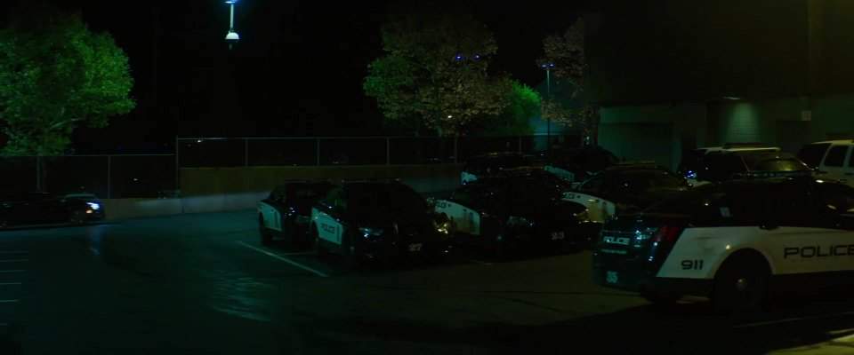 Dodge Charger Pursuit