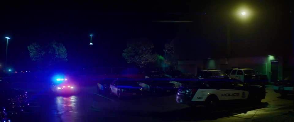 Ford Police Interceptor