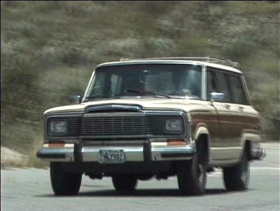 1981 Jeep Wagoneer in Dead 7