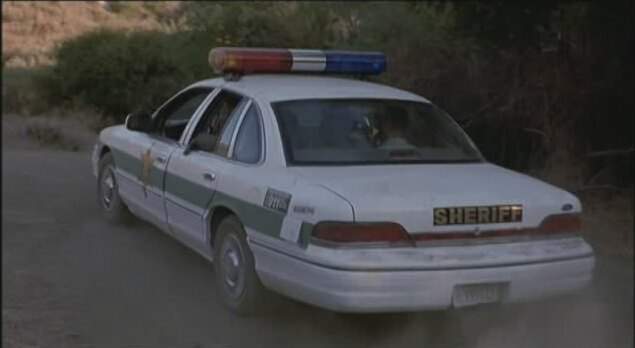 1993 Ford Crown Victoria in Python