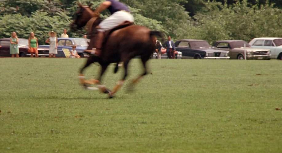 Plymouth Valiant Signet