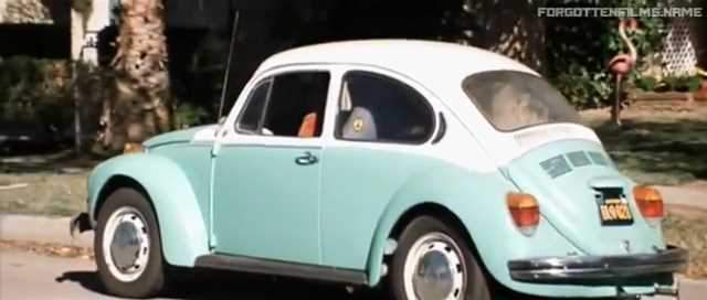 Volkswagen Super Beetle