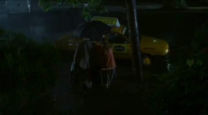 1999 Dacia 1310 in Occident