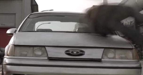 Ford Taurus SHO
