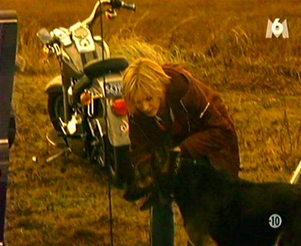 Harley-Davidson FLSTF Fat Boy