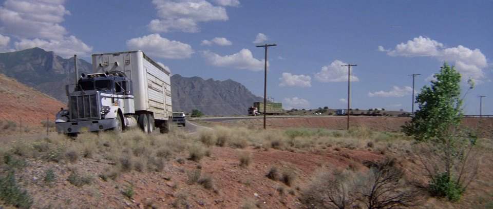 Peterbilt 359