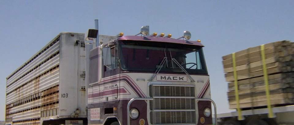 Mack Cruise-Liner
