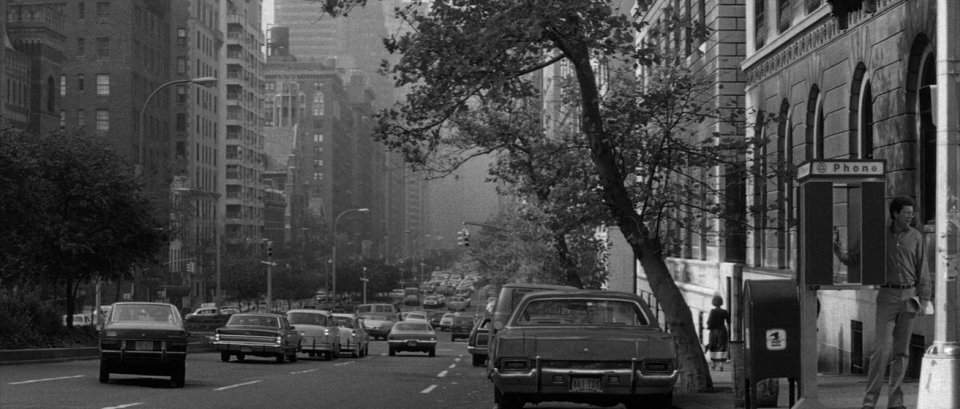 Volkswagen Dasher B1