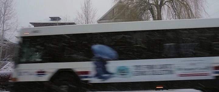 Gillig Low Floor