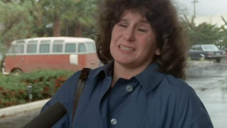 Volkswagen De Luxe Station Wagon T1