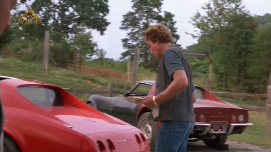 Chevrolet Corvette Stingray C3