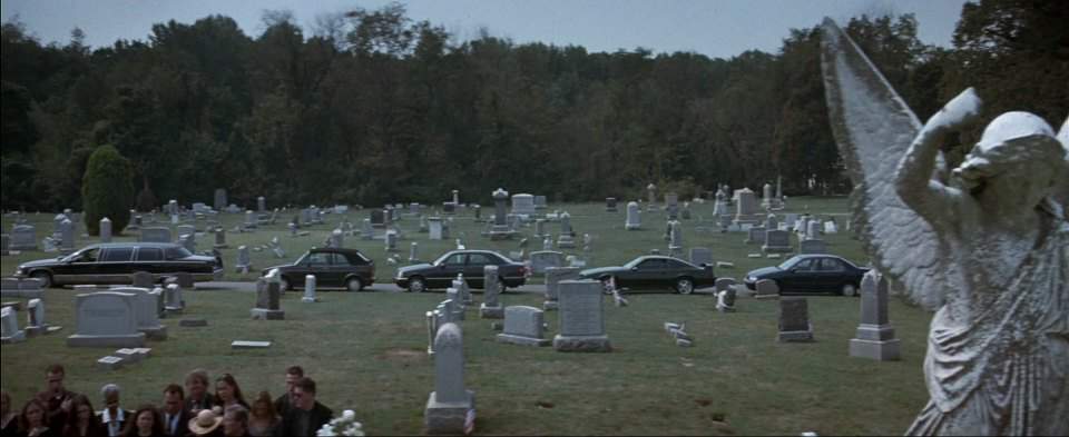 Cadillac Fleetwood Stretched Limousine