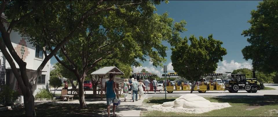 Custom Made Conch Tour Train